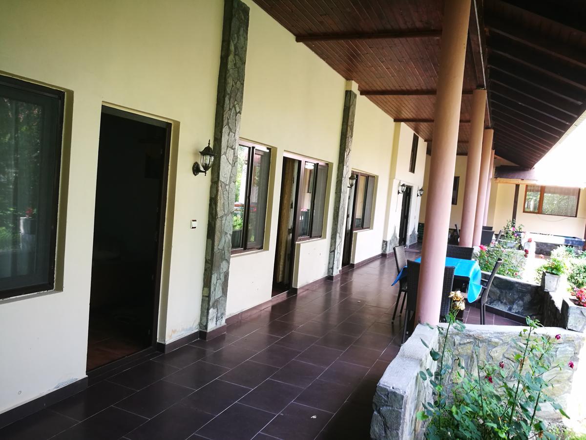Pensiunea Ramona Cărpinişu Exterior foto