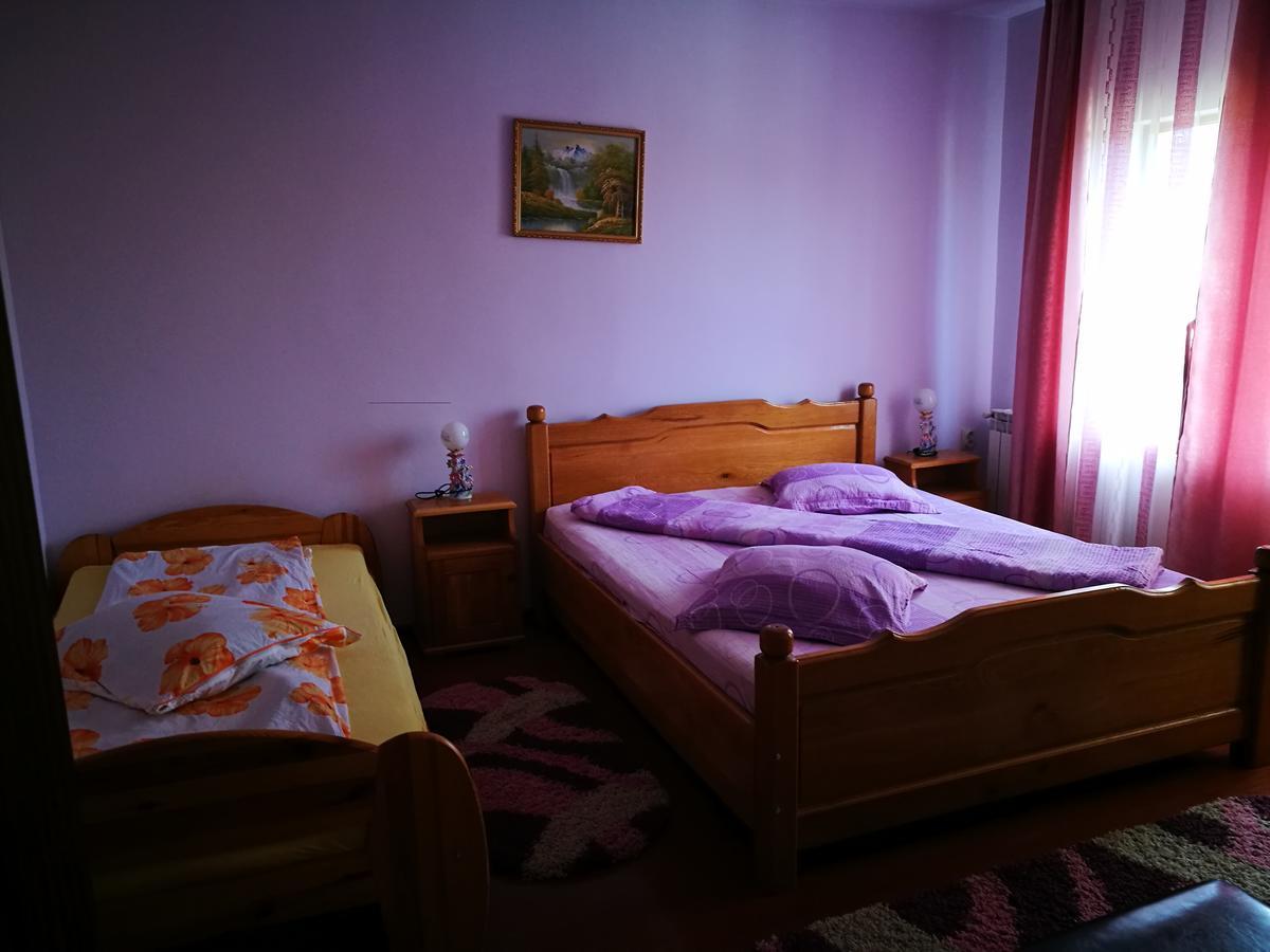 Pensiunea Ramona Cărpinişu Exterior foto