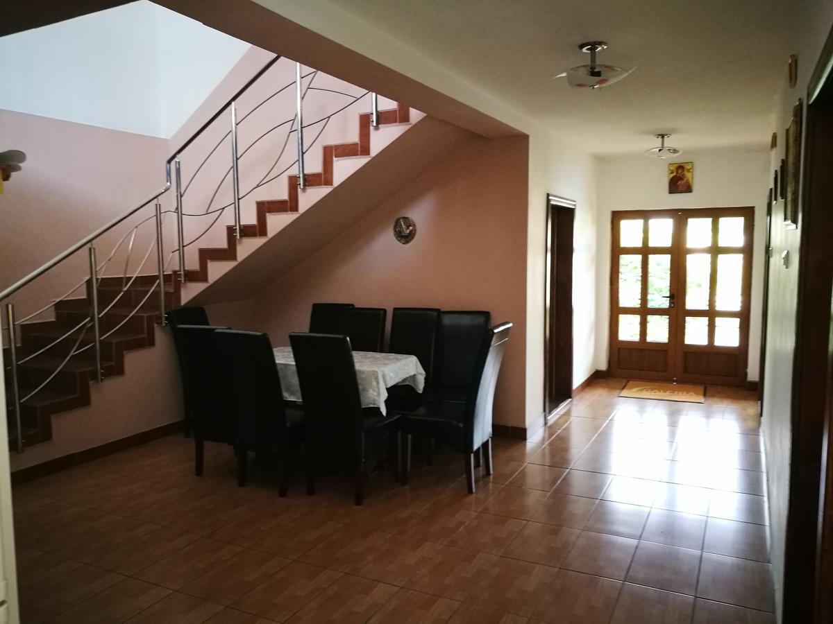 Pensiunea Ramona Cărpinişu Exterior foto