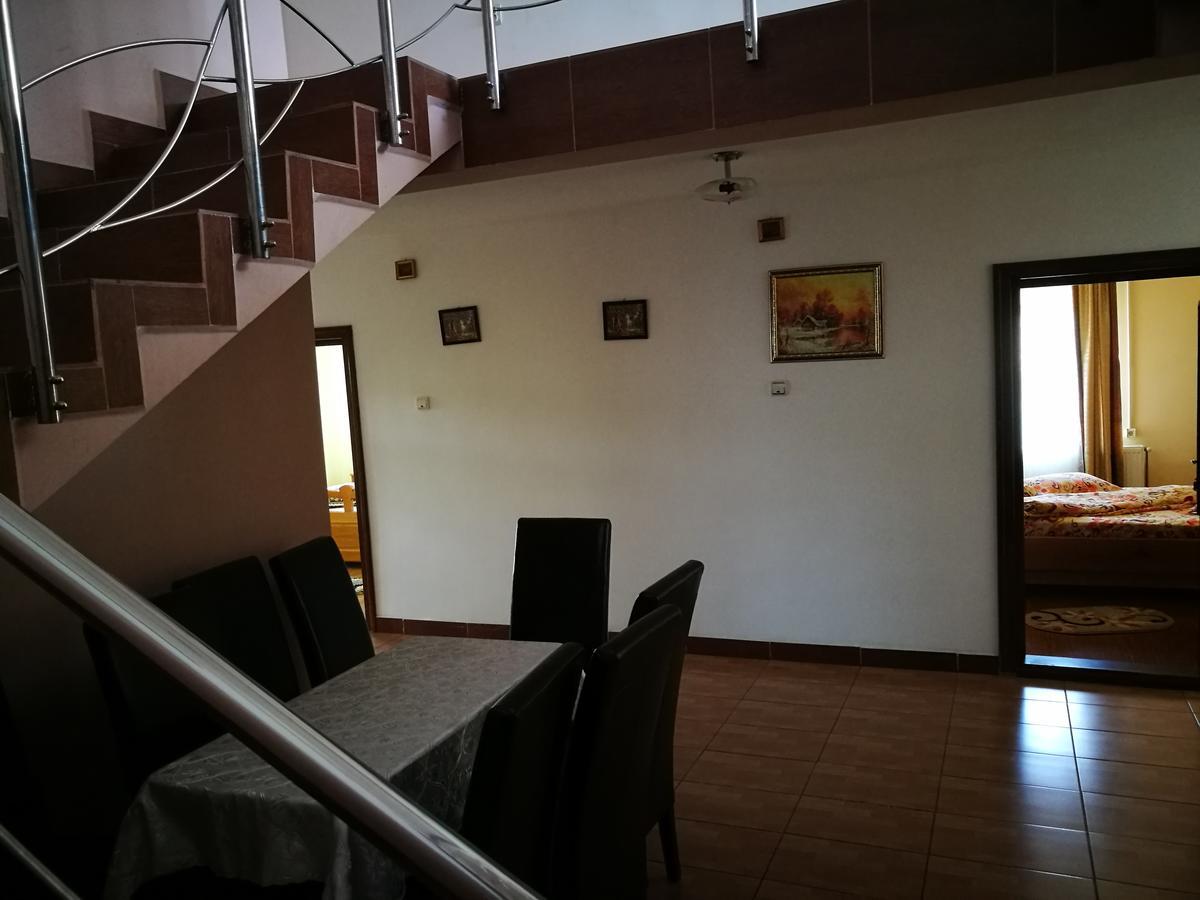 Pensiunea Ramona Cărpinişu Exterior foto