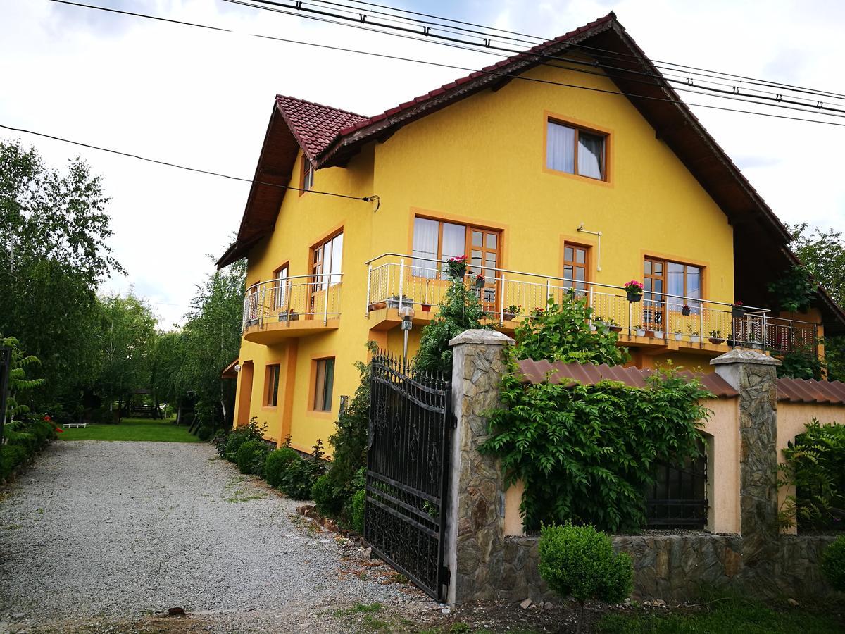Pensiunea Ramona Cărpinişu Exterior foto
