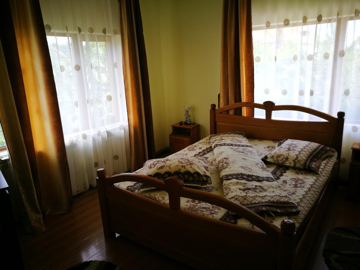 Pensiunea Ramona Cărpinişu Exterior foto