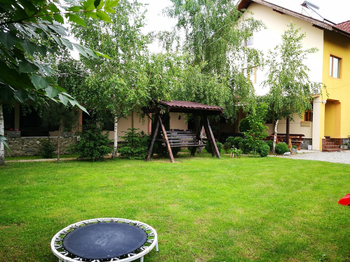 Pensiunea Ramona Cărpinişu Exterior foto