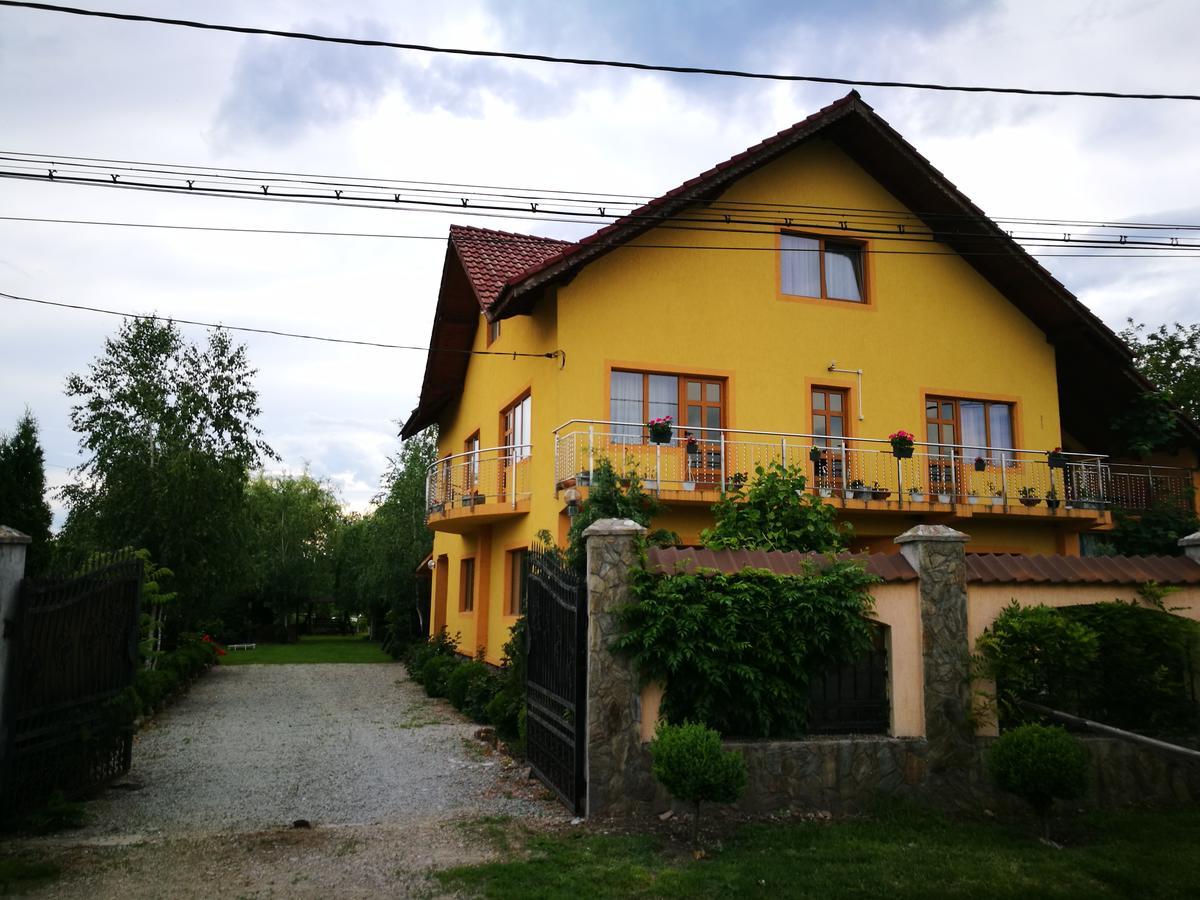 Pensiunea Ramona Cărpinişu Exterior foto