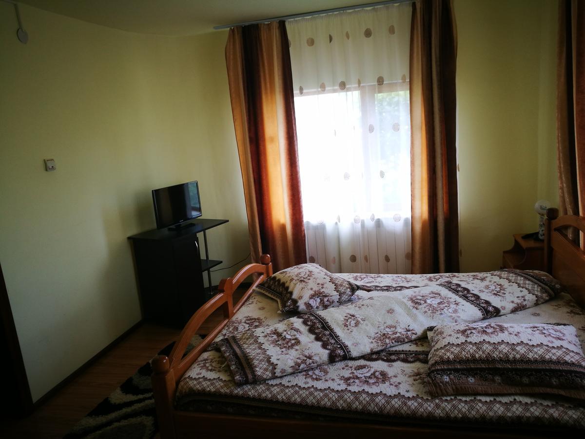 Pensiunea Ramona Cărpinişu Exterior foto