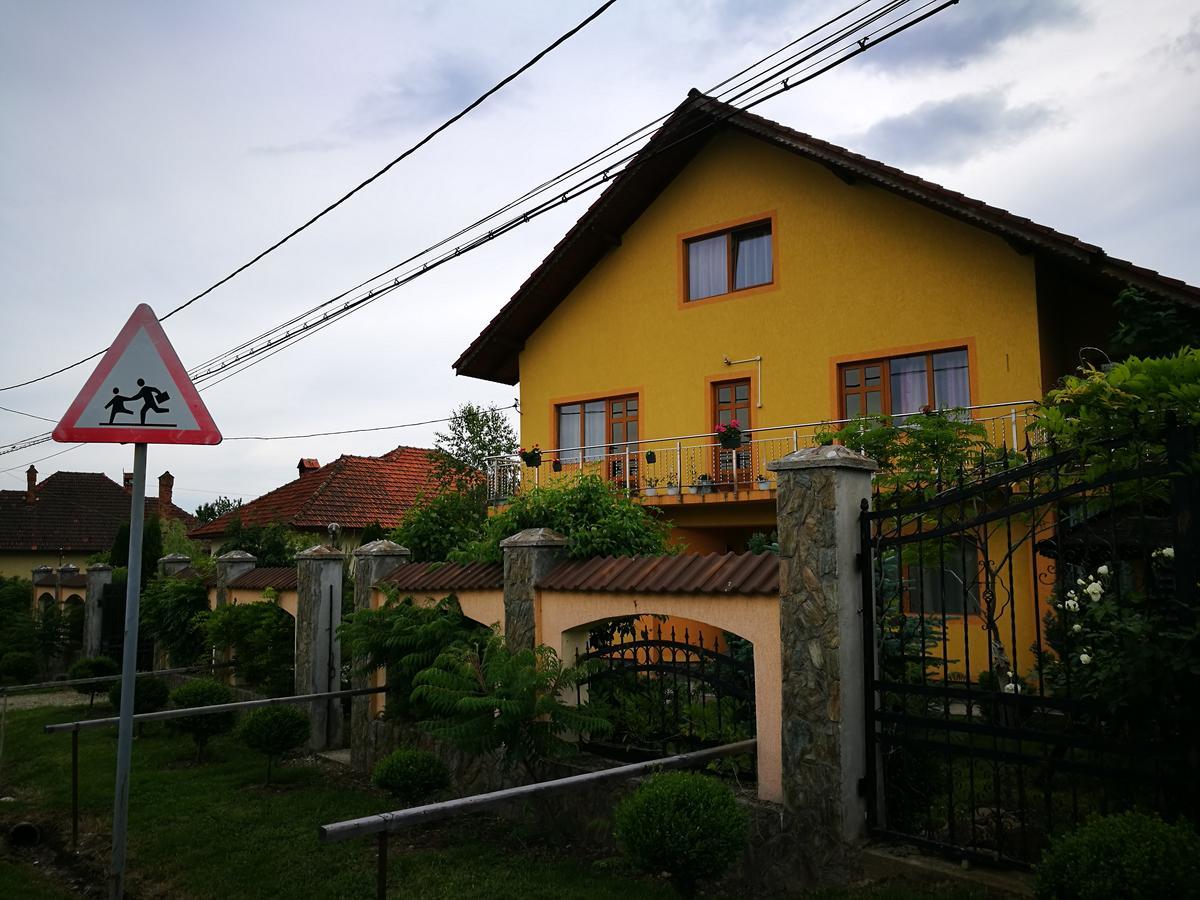 Pensiunea Ramona Cărpinişu Exterior foto