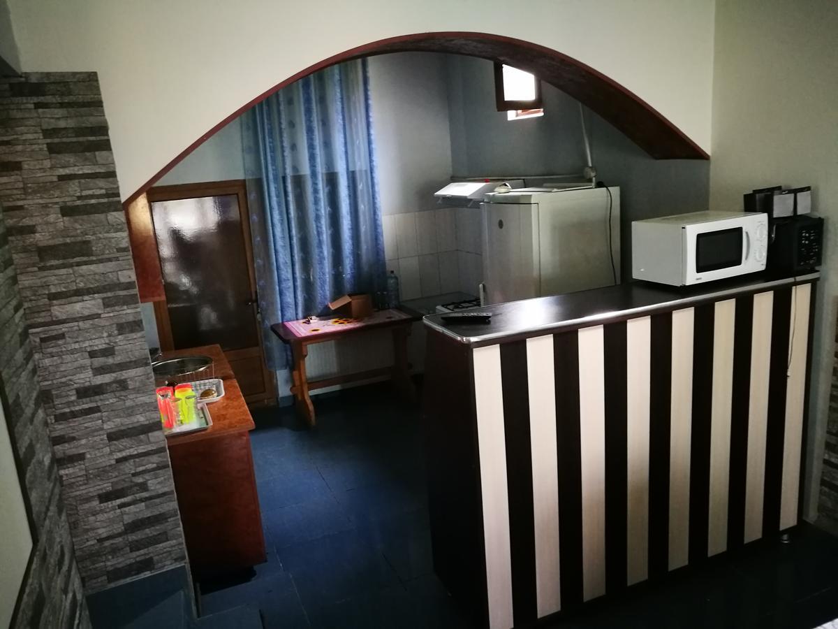 Pensiunea Ramona Cărpinişu Exterior foto