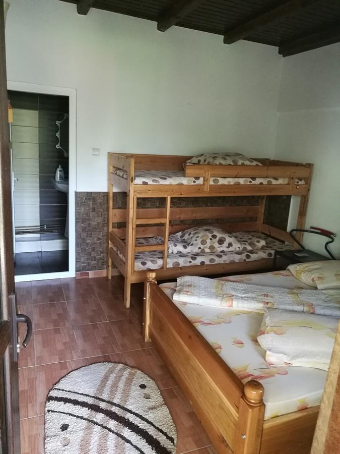 Pensiunea Ramona Cărpinişu Exterior foto